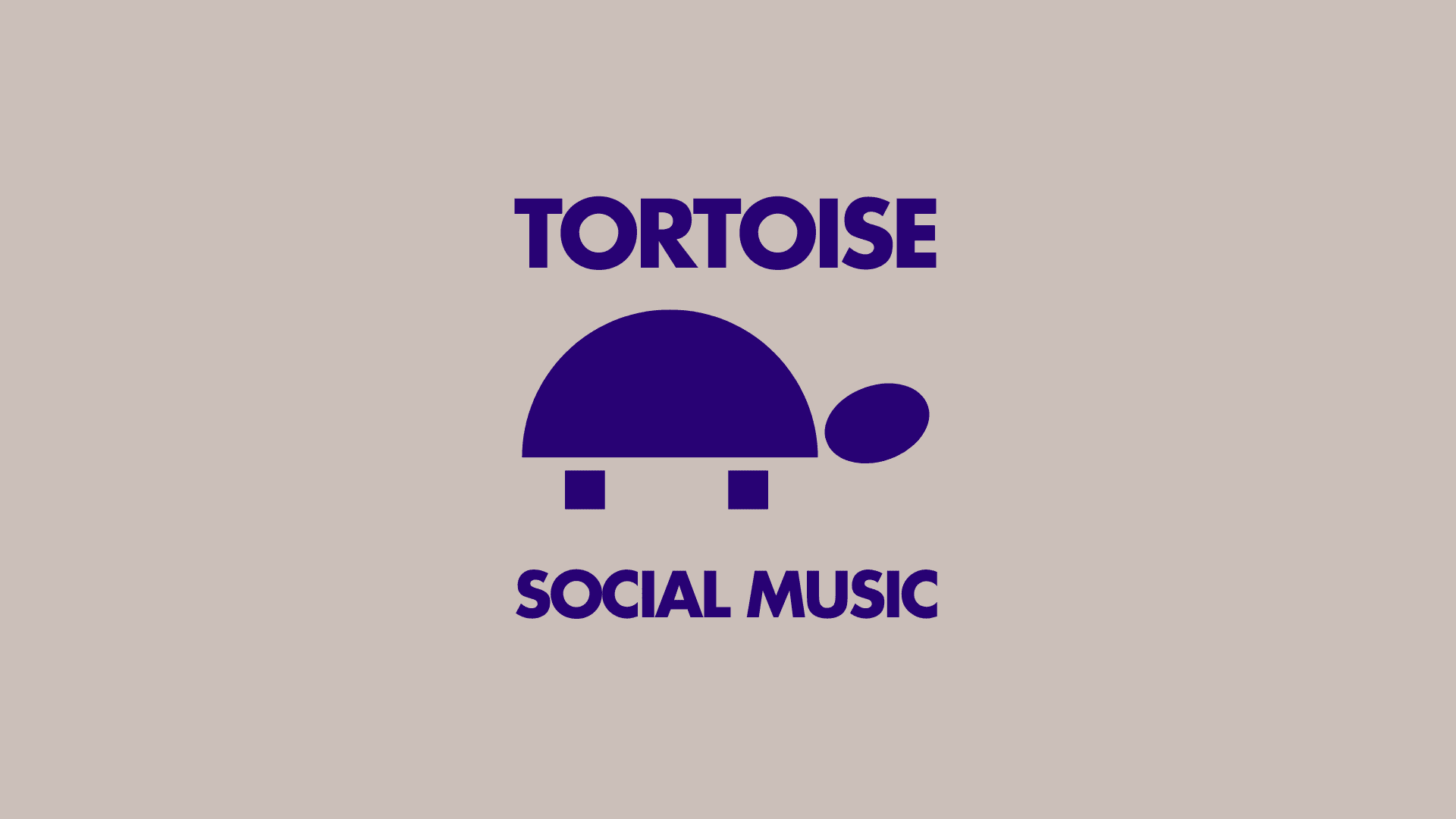 Tortoise