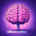 Silicon Valley character Quiz!